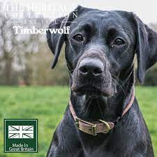 Timberwolf Collar Sable 55 x 63