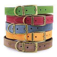 Timberwolf Collar Sable 45 x 54