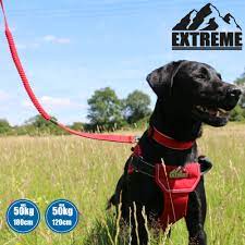 Dog Lead Black