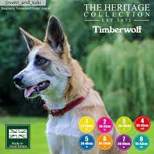 Timberwolf Collar Raspberry 50 x 59