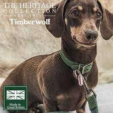 Timberwolf Collar Green Large