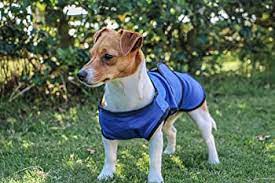 dog cooling coat XL