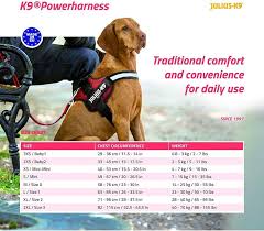 Dog Harness Julius K9 Size L/1 Red