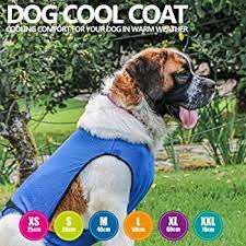 dog cooling coat XL