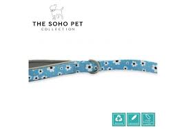 Soho daisy lead