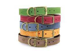 Timberwolf Collar Mustard 50 x 59