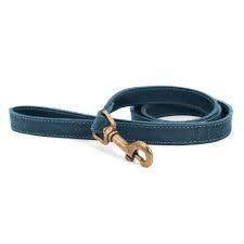 Timberwolf Leash Blue 60cm