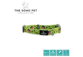 Dino collar size M