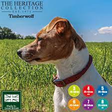 Timberwolf Collar Raspberry 55 x 63