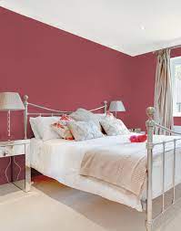 Paint 2.5l johnstones Dusky Berry