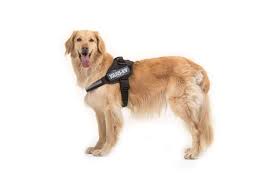 Dog Harness Julius K9 Size L/1 Black