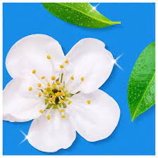 Flash Spray Wipe Done White Blossom