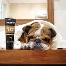 Derma dog Shampoo
