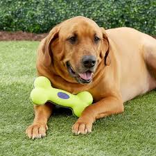 Kong Air Dog Bone Small