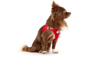 Dog Harness Curli Air Mesh 2XS Red