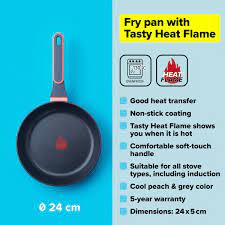 Frying 24cm Pan Tasty