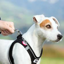 Dog Harness Curli Air Mesh 2XS Black