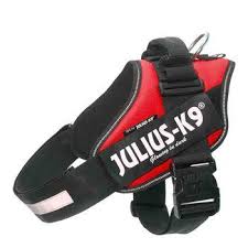 Dog Harness Julius K9 Size L/1 Red