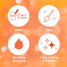 Asevi Orange Floor Cleaner