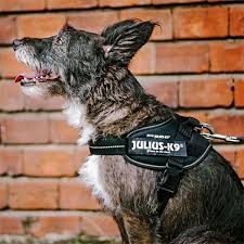 Dog Harness Julius K9 Size M/0 Black