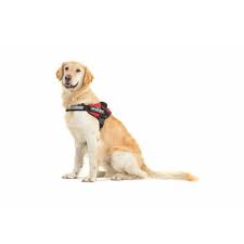 Dog Harness Julius K9 Size M/0 Red