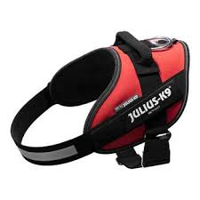 Dog Harness Julius K9 Size M/0 Red