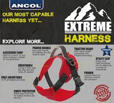 Dog Harness Pink