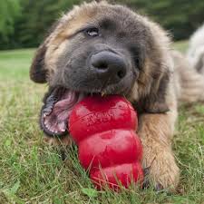 Kong Classic Treat Feeder Small