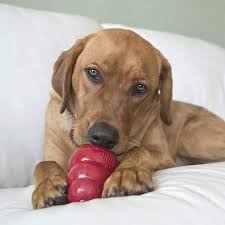 Kong Classic Treat Feeder Small