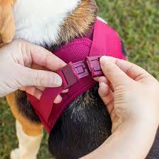 Dog Harness Curli Air Mesh 2XS Red