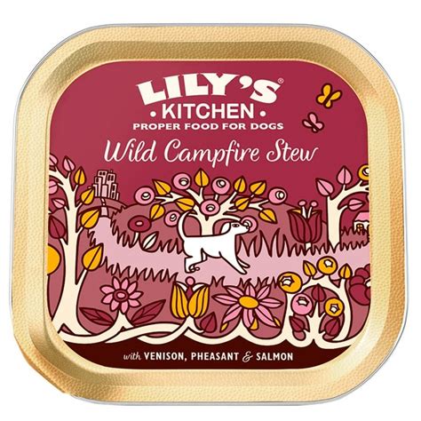 wild camp fire stew lily kitchen