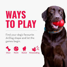 Kong Air Dog Bone Medium