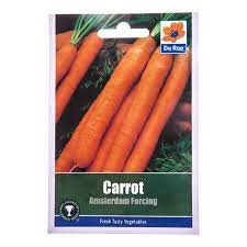 Carrot seeds amsterdam