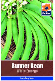 Runner Bean White Emergo Seeds