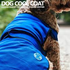 dog cooling coat large