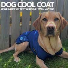 dog cooling coat large