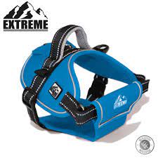 Dog Harness Blue size S