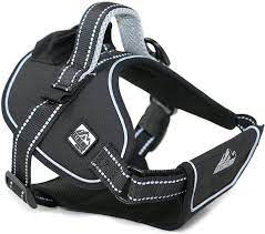 Dog Harness size L black