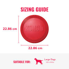 Kong Flyer Small