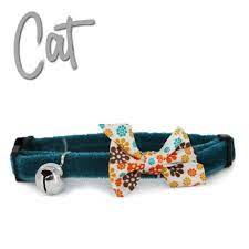 Cat Collar Teal