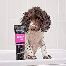 Puppy love Dog Shampoo