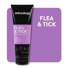 Flea & Tick Shampoo