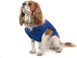 dog cooling coat small