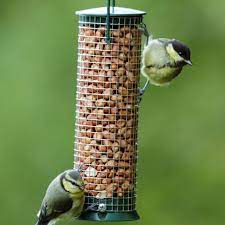 Bird Nut Feeder