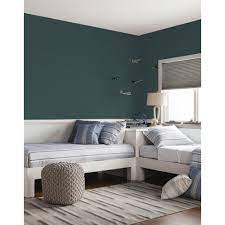 Ivy Sky johnstones paint 2.5L