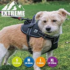 Dog Harness Extreme