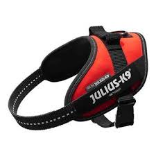 Dog Harness Julius K9 Size S/Mini Red