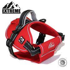 Dog Harness Extreme Red