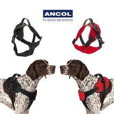 Dog Harness Red Size S