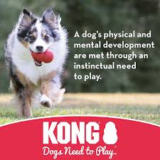 Kong Flyer Small